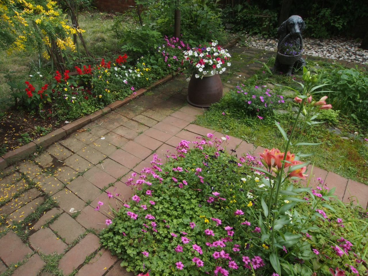 年じゅう咲いている百合水仙という花 | 季節 | クールシニアマガジン